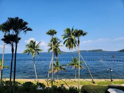 Seascape (D4), Condominium #488313801